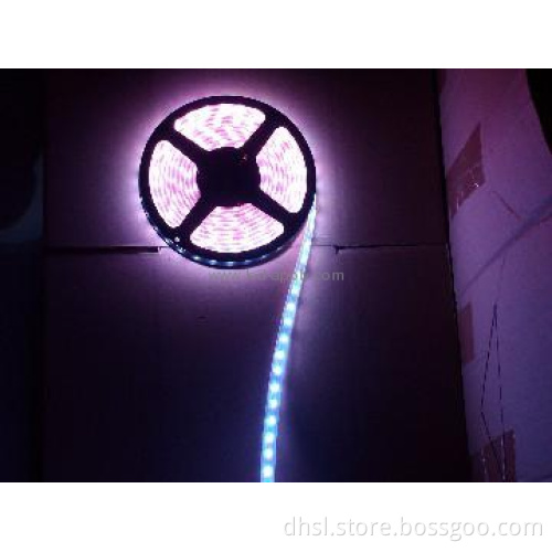 24V 120pcs smd3528 led strip light led per meter -(1)